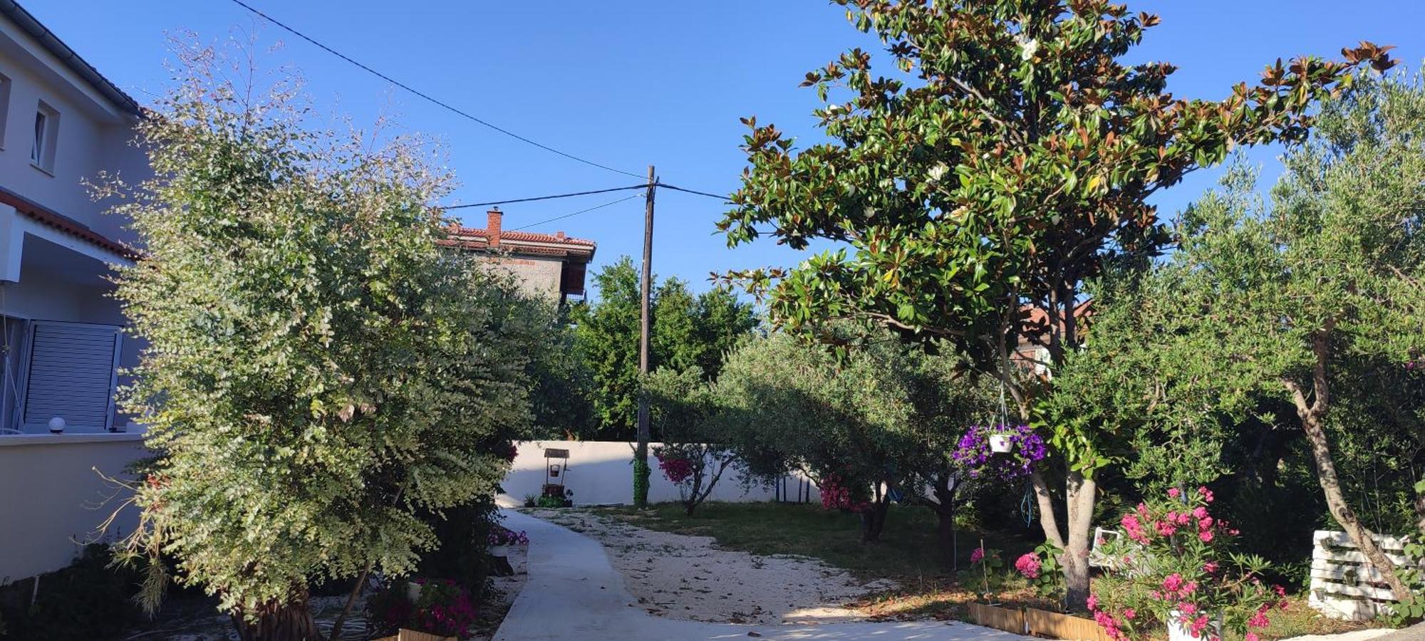 Apartments Villa Mihaela Banj Exteriér fotografie
